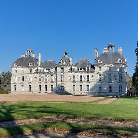 Trainefeuilles - Chambres D'Hotes Proche Zoo De Beauval Le Controis-en-Sologne Екстер'єр фото